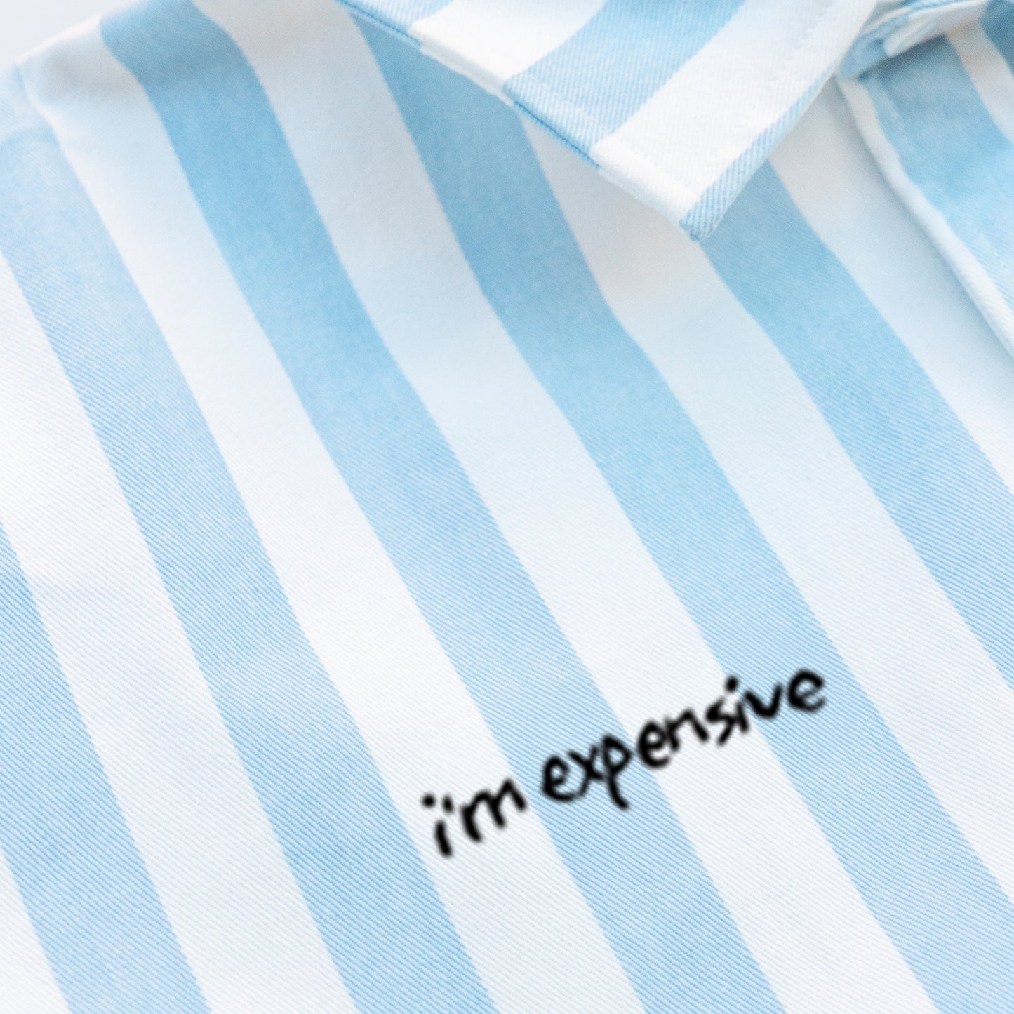 Woman wearing a striped shirt with a I'm Expensive embroidery